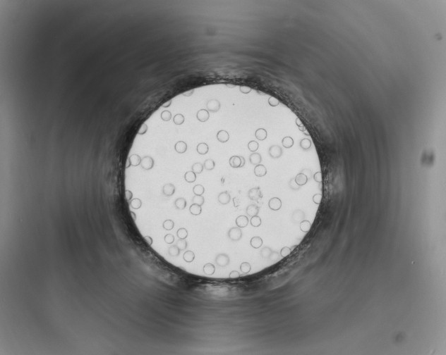 X0000097670464200803211947