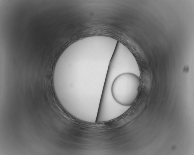 X0000097670465200803211947