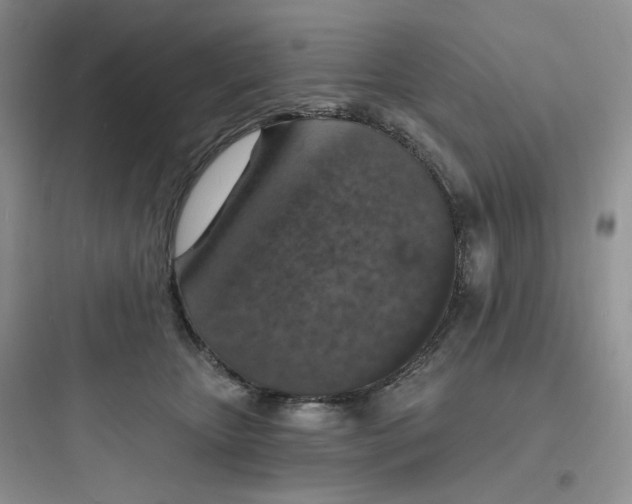 X0000097670467200803211947