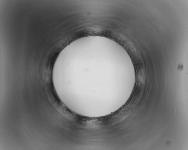 X0000097670468200803211947