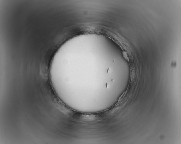 X0000097670469200803211947