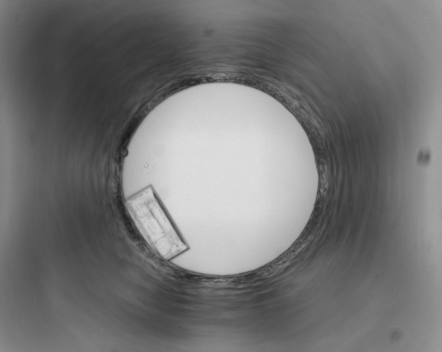 X0000097670470200803211947