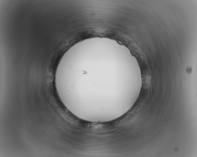 X0000097670472200803211947