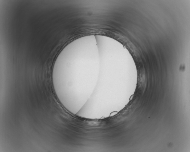 X0000097670473200803211947