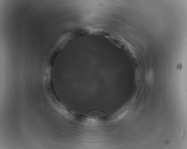 X0000097670475200803211947