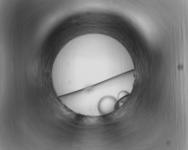 X0000097670479200803211947