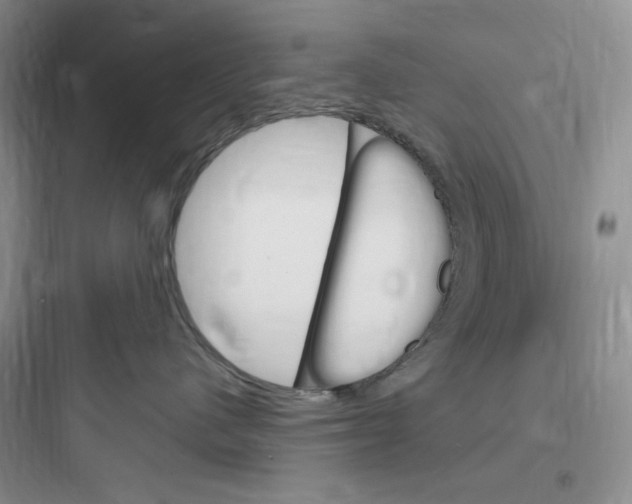 X0000097670480200803211947