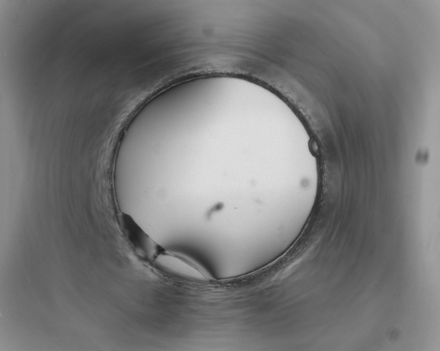 X0000097670481200803211946