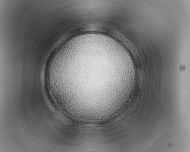 X0000097670482200803211946