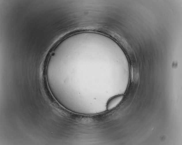 X0000097670483200803211946