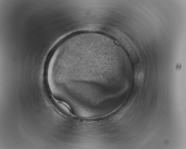 X0000097670484200803211946