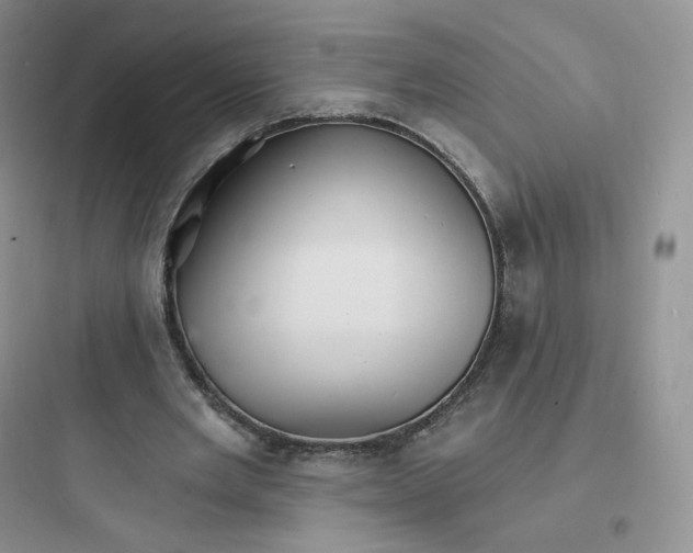 X0000097670485200803211946