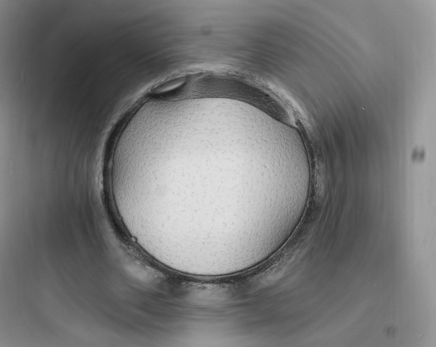 X0000097670486200803211946