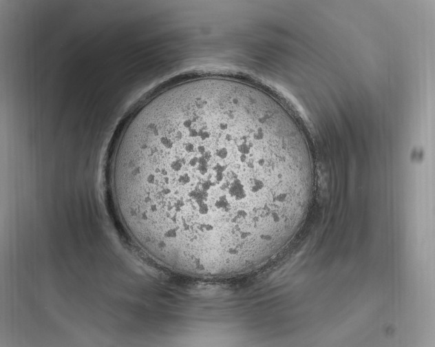 X0000097670487200803211946