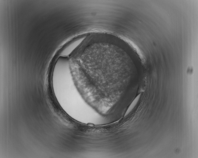 X0000097670488200803211946