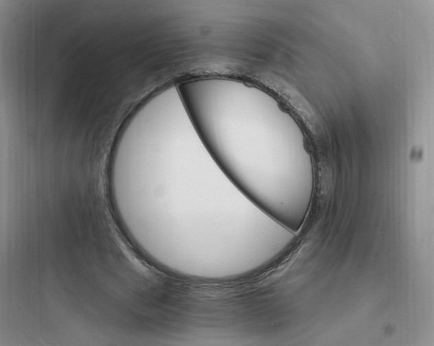 X0000097670489200803211946