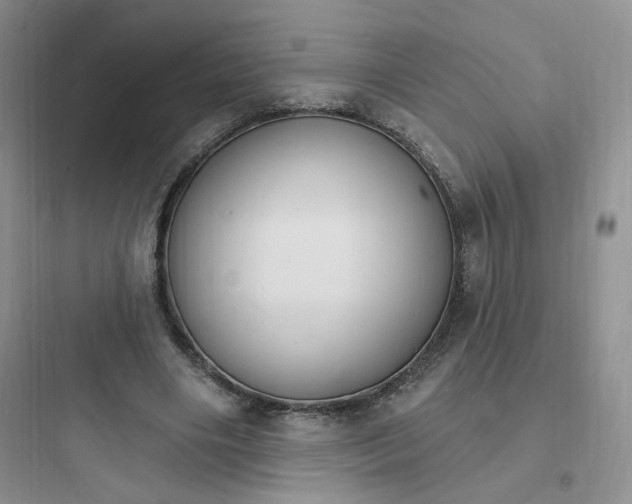 X0000097670490200803211946