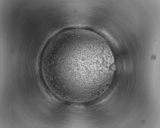 X0000097670491200803211946