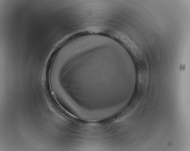 X0000097670492200803211946