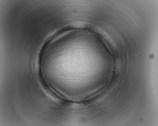 X0000097670494200803211946