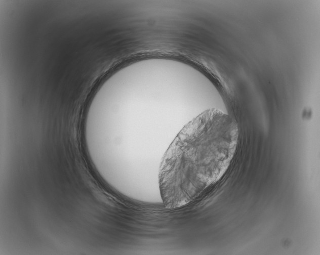 X0000097670495200803211946