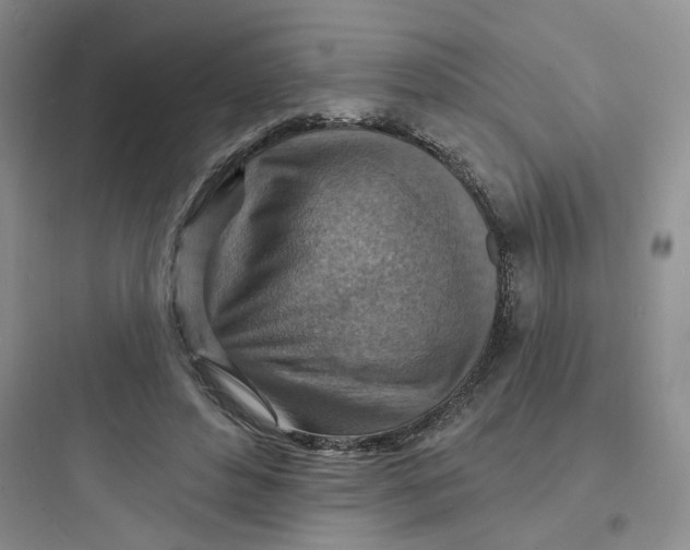 X0000097670496200803211946