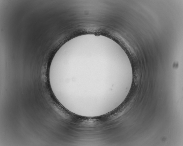 X0000097670497200803211946