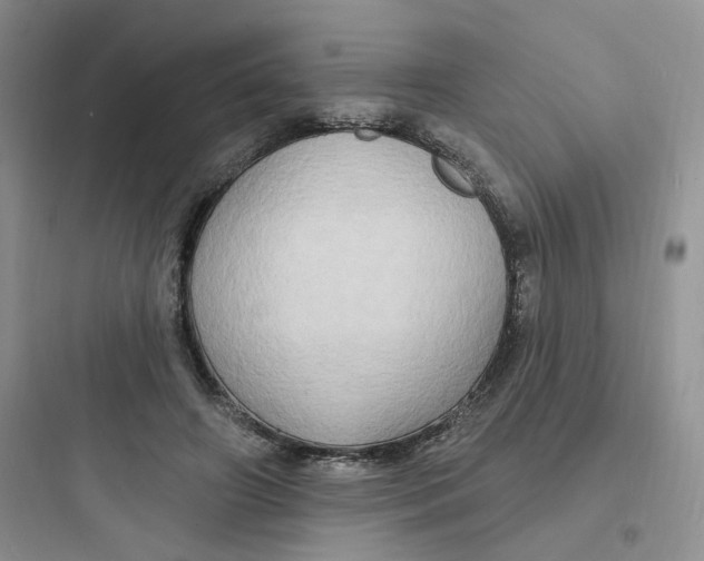 X0000097670498200803211946