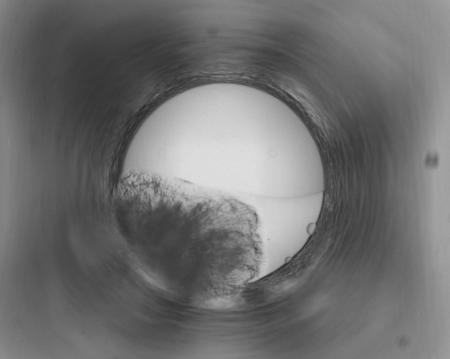 X0000097670499200803211946