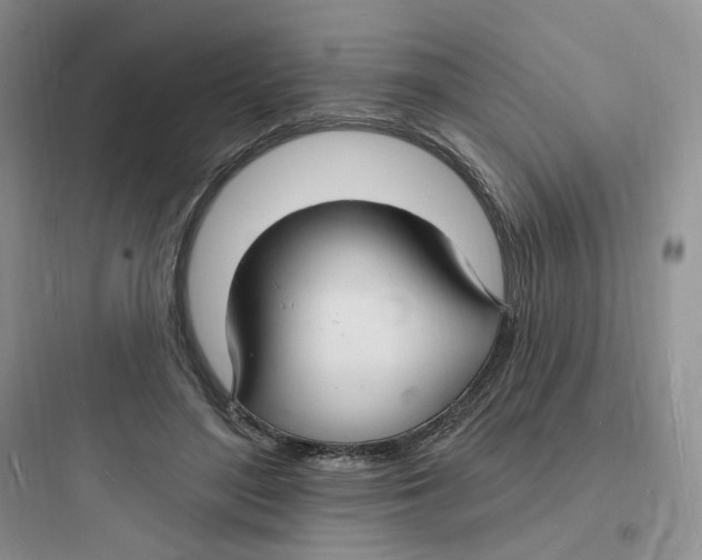 X0000097670500200803211946