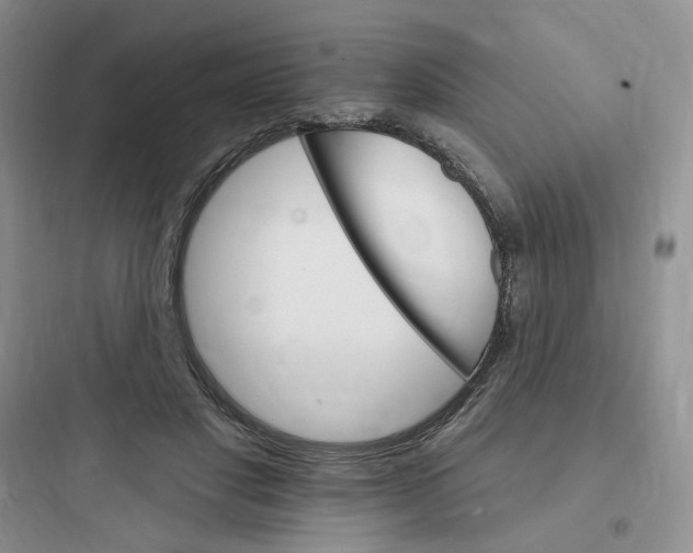 X0000097670501200803211946