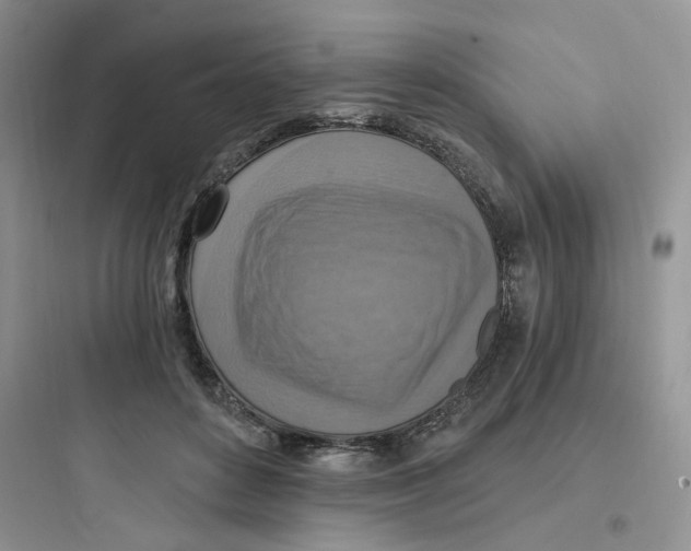 X0000097670504200803211946