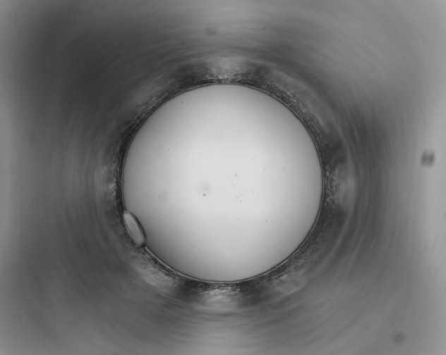 X0000097670505200803211946