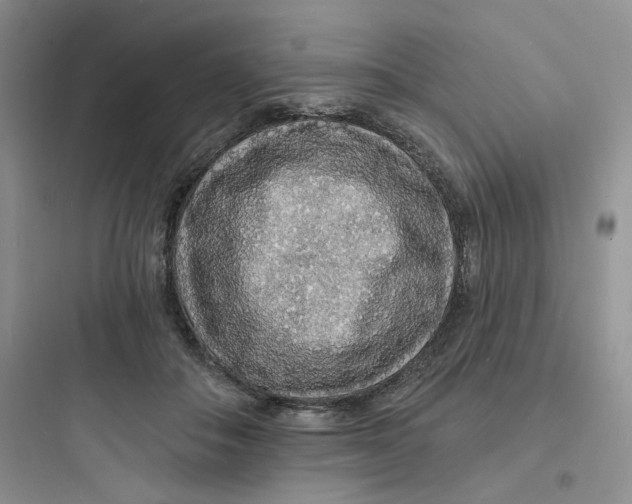 X0000097670506200803211946