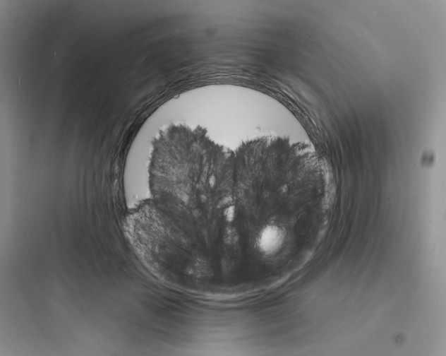 X0000097670507200803211946