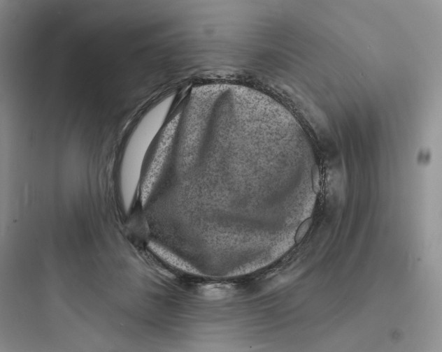 X0000097670508200803211946