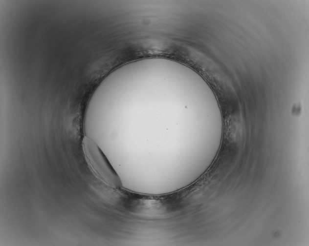 X0000097670509200803211946