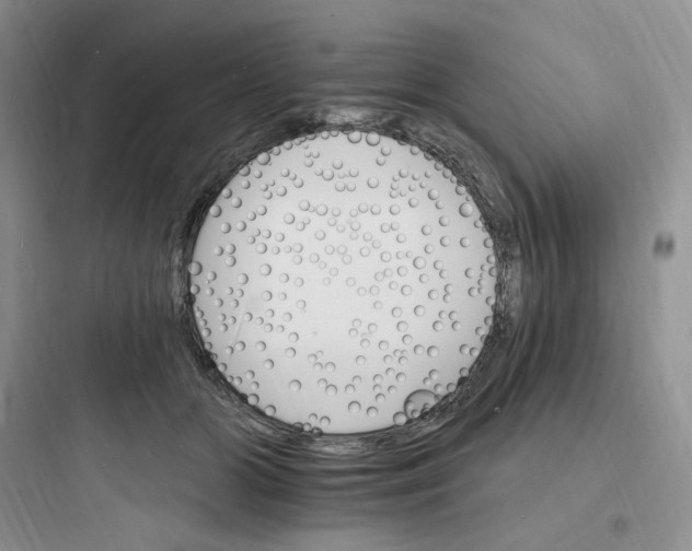 X0000097670510200803211946