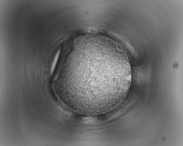 X0000097670511200803211946