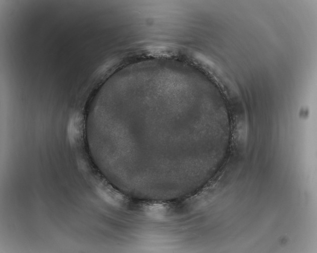 X0000097670513200803211946