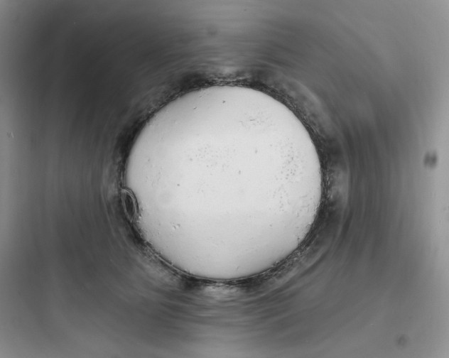 X0000097670515200803211946