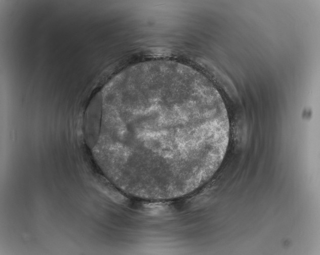 X0000097670516200803211946