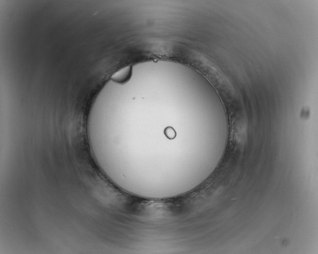 X0000097670518200803211946