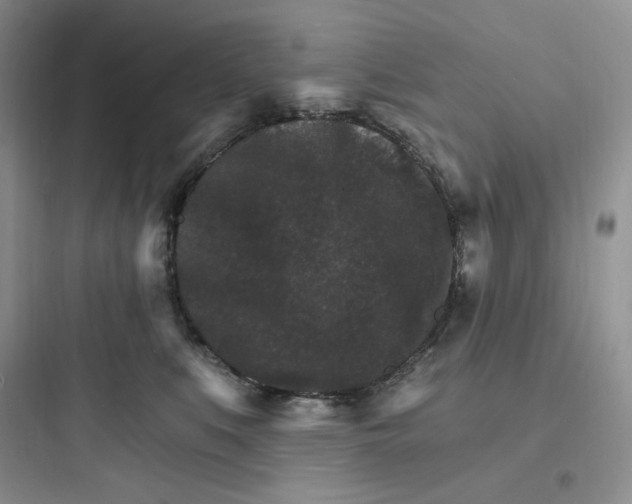 X0000097670519200803211946