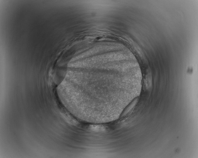 X0000097670520200803211946