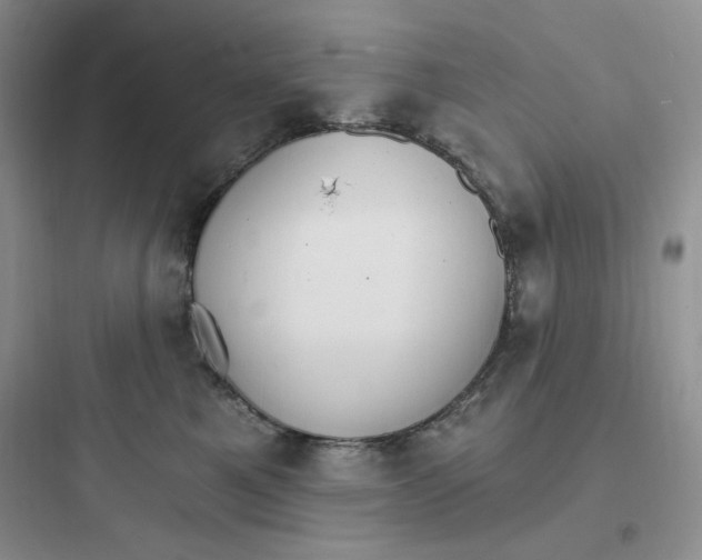 X0000097670521200803211946