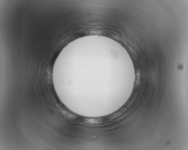 X0000097670522200803211946