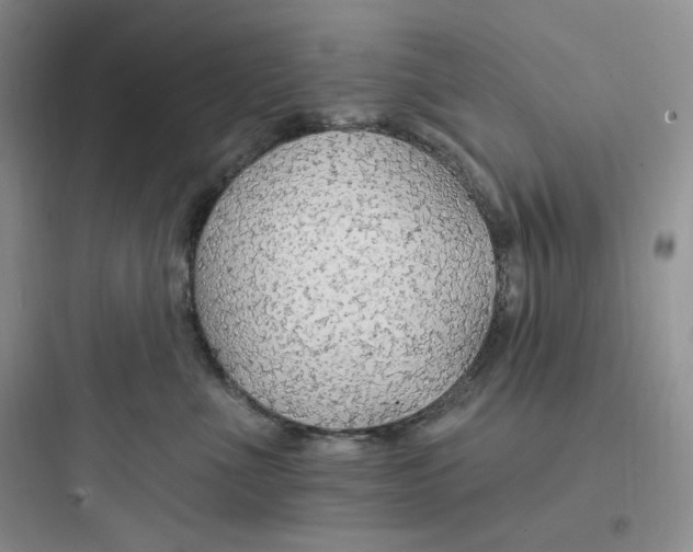 X0000097670523200803211945