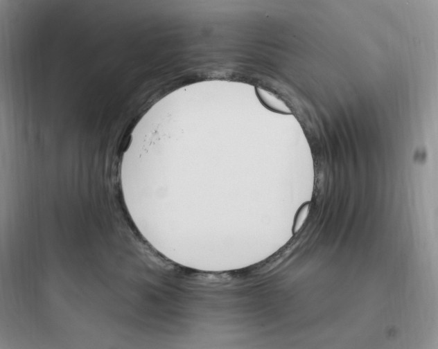 X0000097670525200803211945