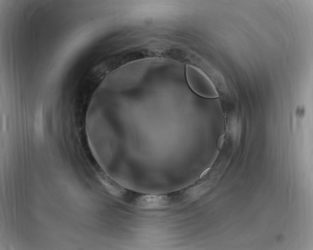 X0000097670526200803211945